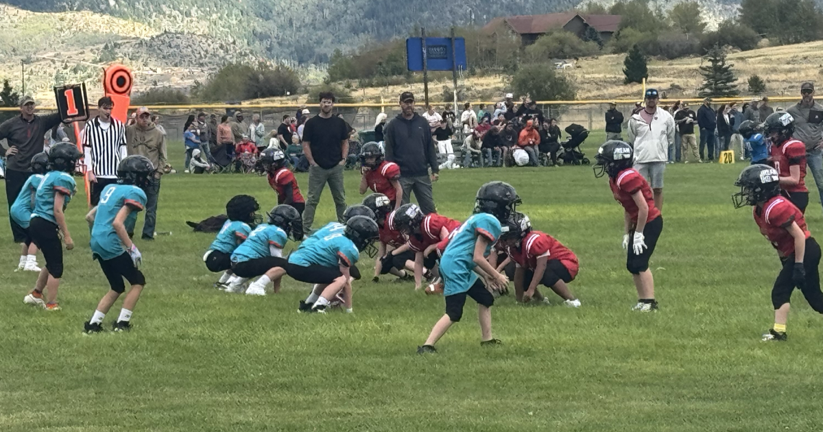 Week 6 roundup